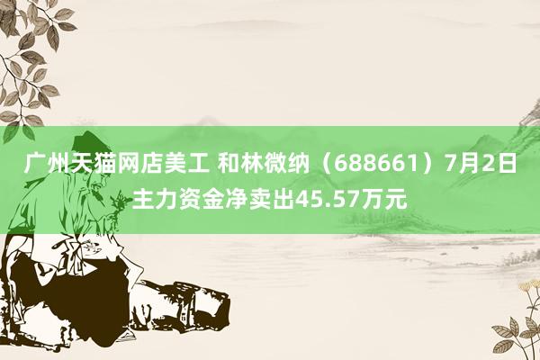 广州天猫网店美工 和林微纳（688661）7月2日主力资金净卖出45.57万元