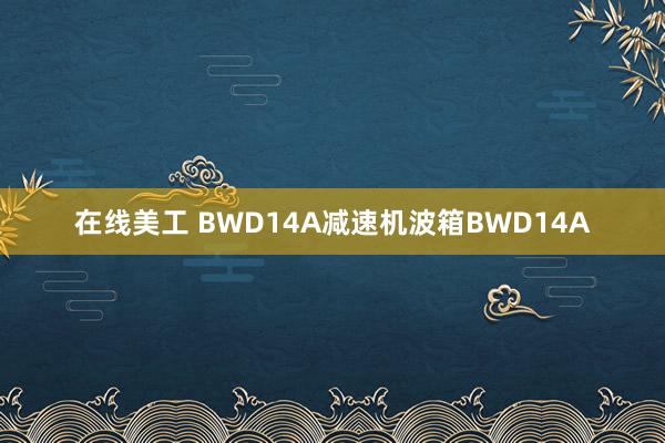 在线美工 BWD14A减速机波箱BWD14A