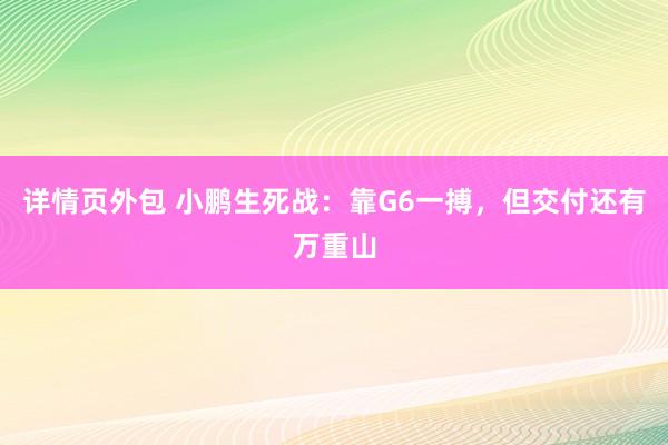 详情页外包 小鹏生死战：靠G6一搏，但交付还有万重山