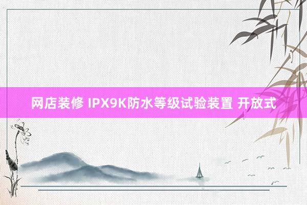 网店装修 IPX9K防水等级试验装置 开放式