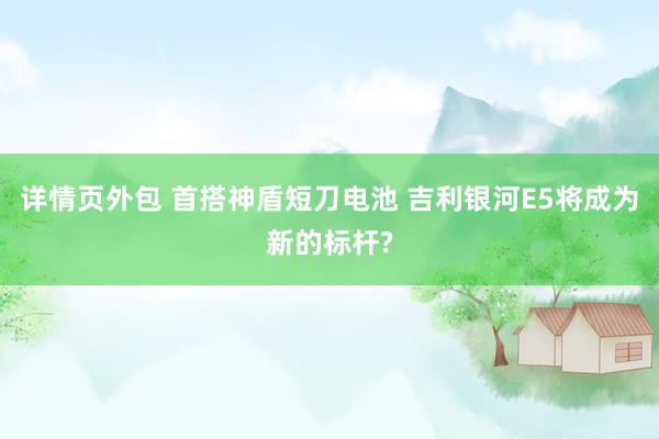 详情页外包 首搭神盾短刀电池 吉利银河E5将成为新的标杆?