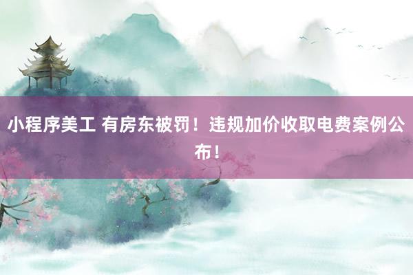 小程序美工 有房东被罚！违规加价收取电费案例公布！