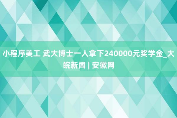 小程序美工 武大博士一人拿下240000元奖学金_大皖新闻 | 安徽网